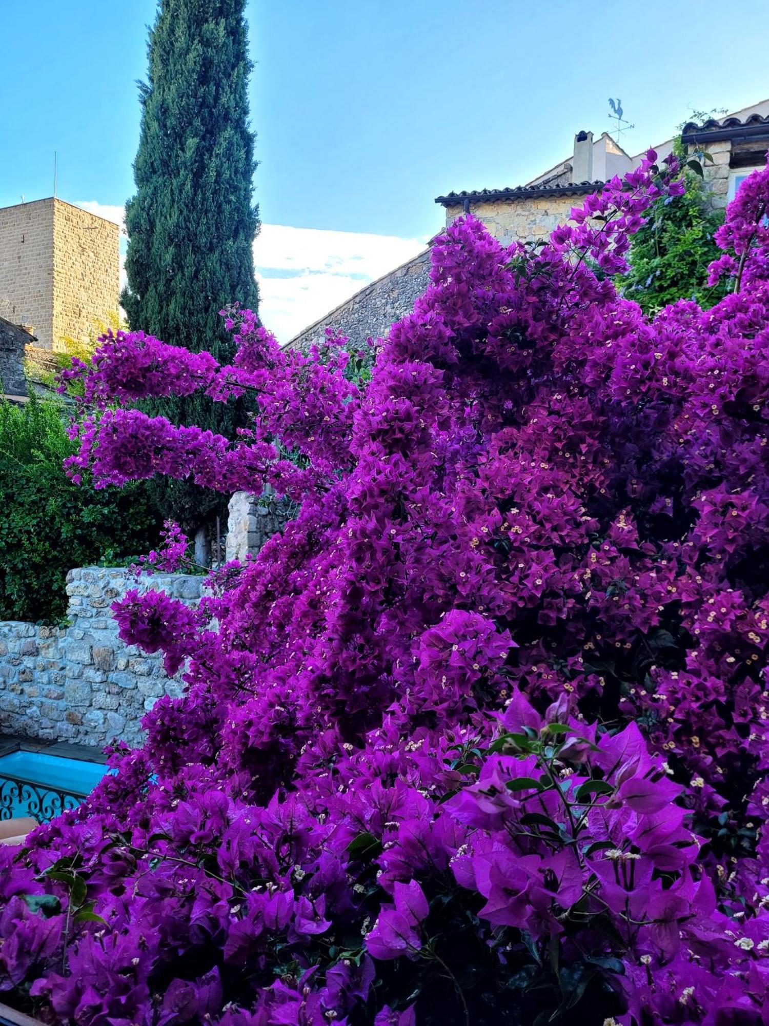 阿卡别墅 Les Arcs-sur-Argens 外观 照片